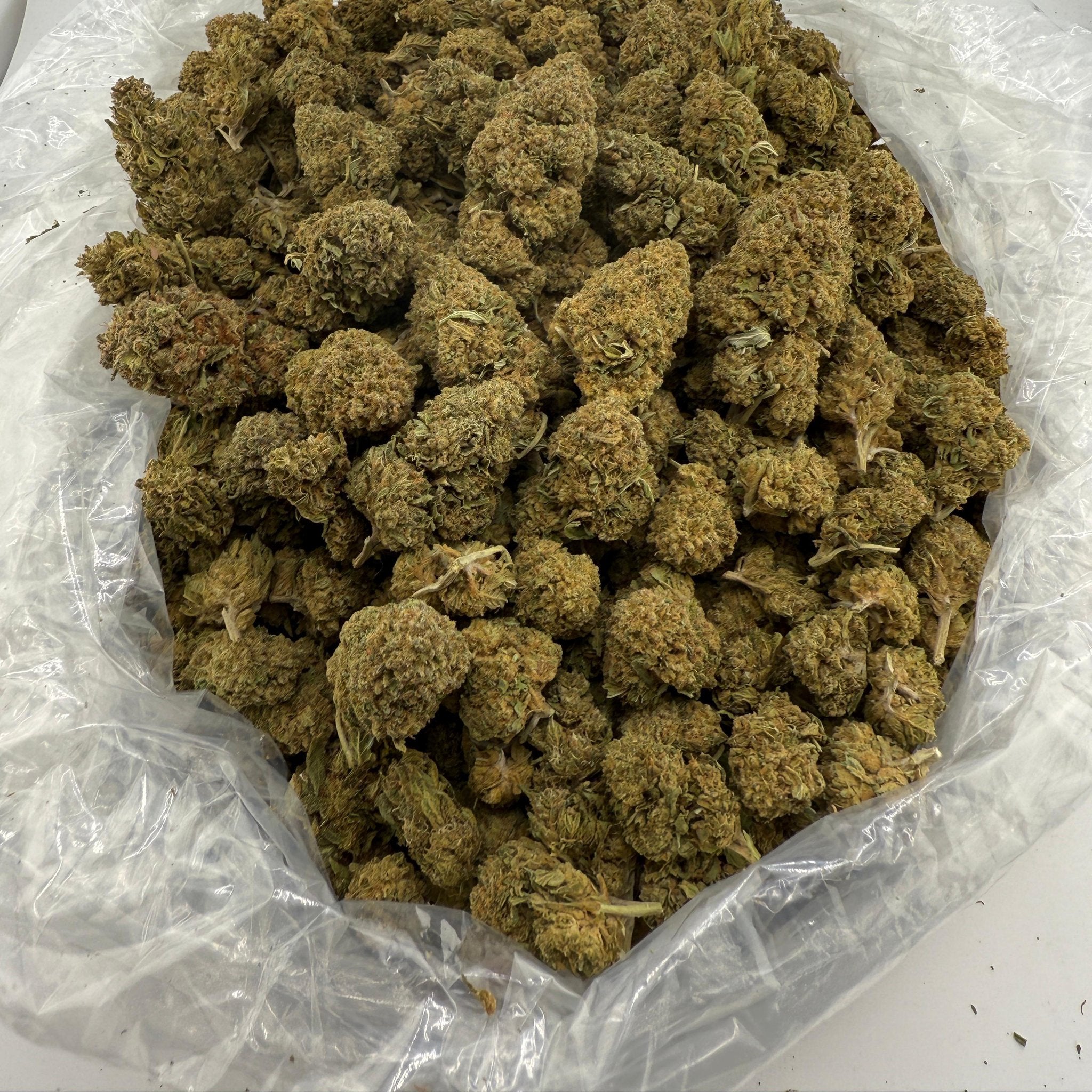 Gelato 41 bulk THCA flower — Plain Jane 1 lb