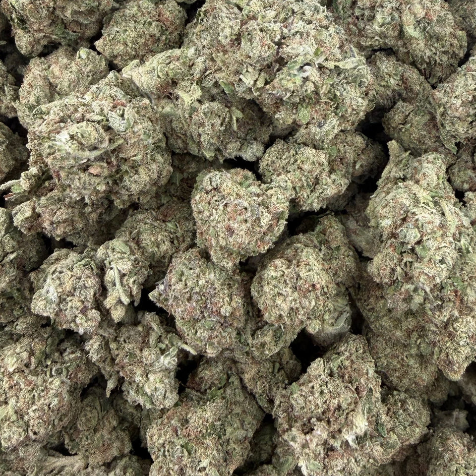 Gelato (Light-Assisted) – Bulk THCA Flower 1 lb