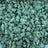 Gelato Float bulk THCA flower — Plain Jane 1 lb