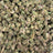 Gelato Float bulk THCA flower — Plain Jane 1 lb