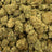 Gelato Ice bulk THCA flower — Plain Jane 1 lb