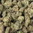 Gelato Ice bulk THCA flower — Plain Jane 1 lb