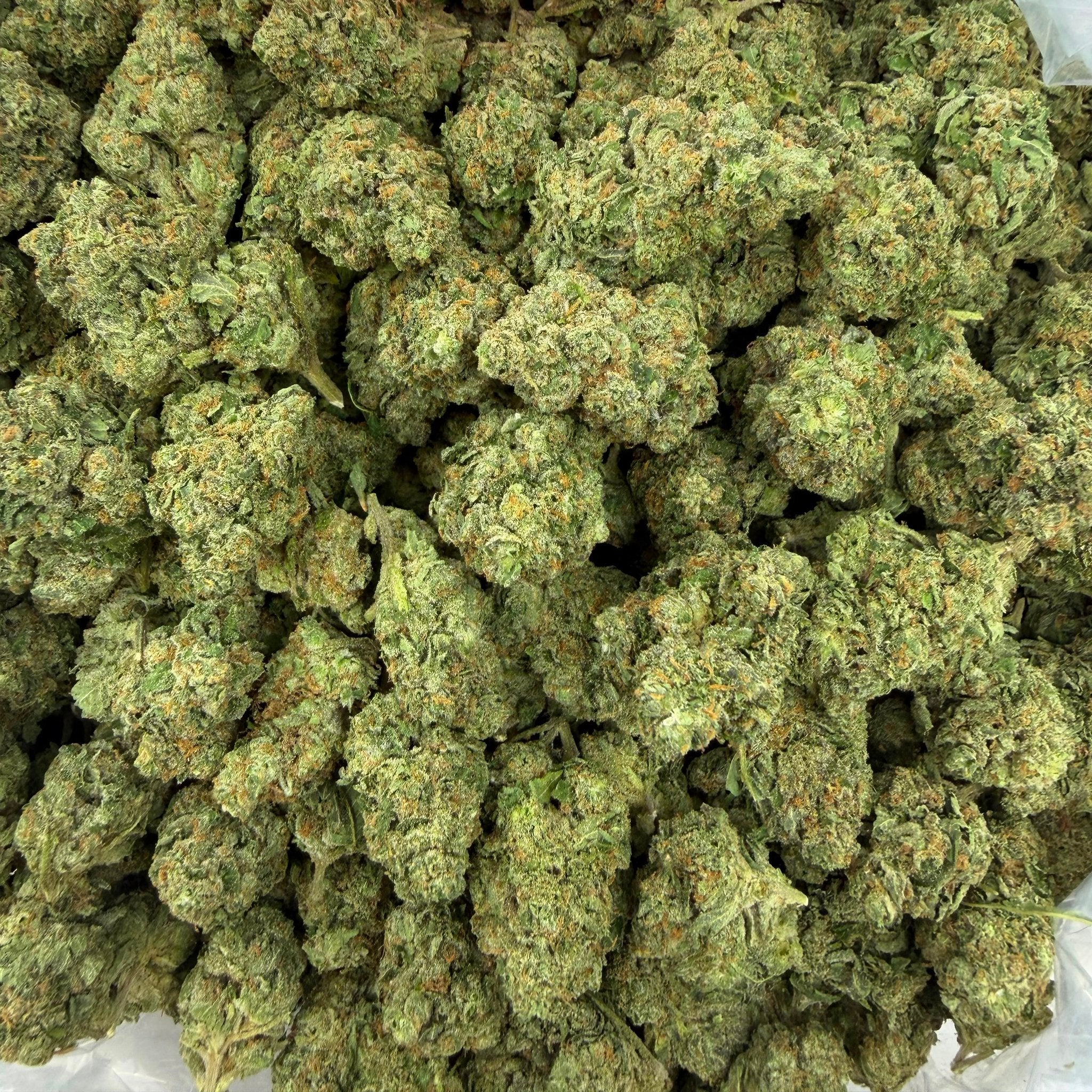 Gelonade bulk THCA flower — Plain Jane 1 lb