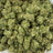 Gelonade bulk THCA flower — Plain Jane 1 lb
