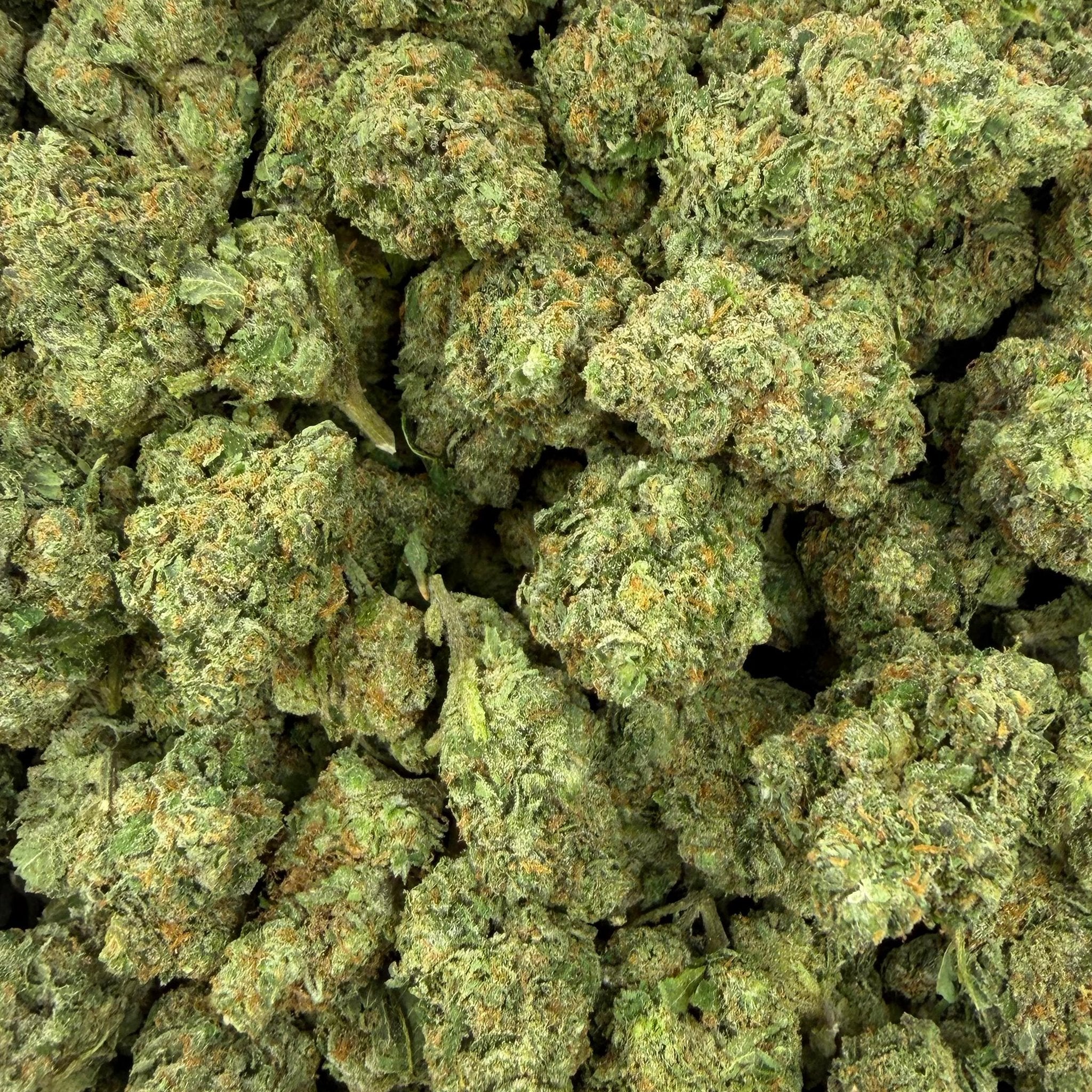 Gelonade bulk THCA flower — Plain Jane 1 lb