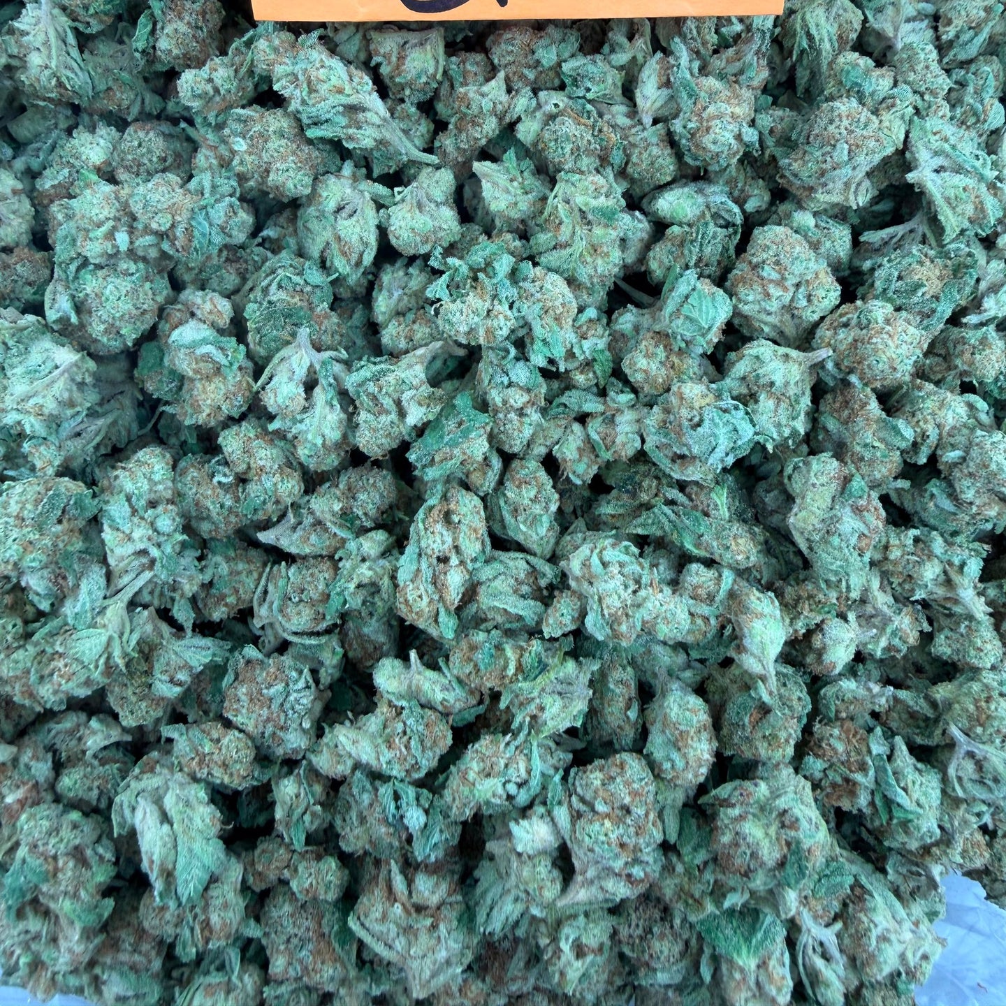 Georgia Apple Pie bulk THCA flower — Plain Jane 1 lb