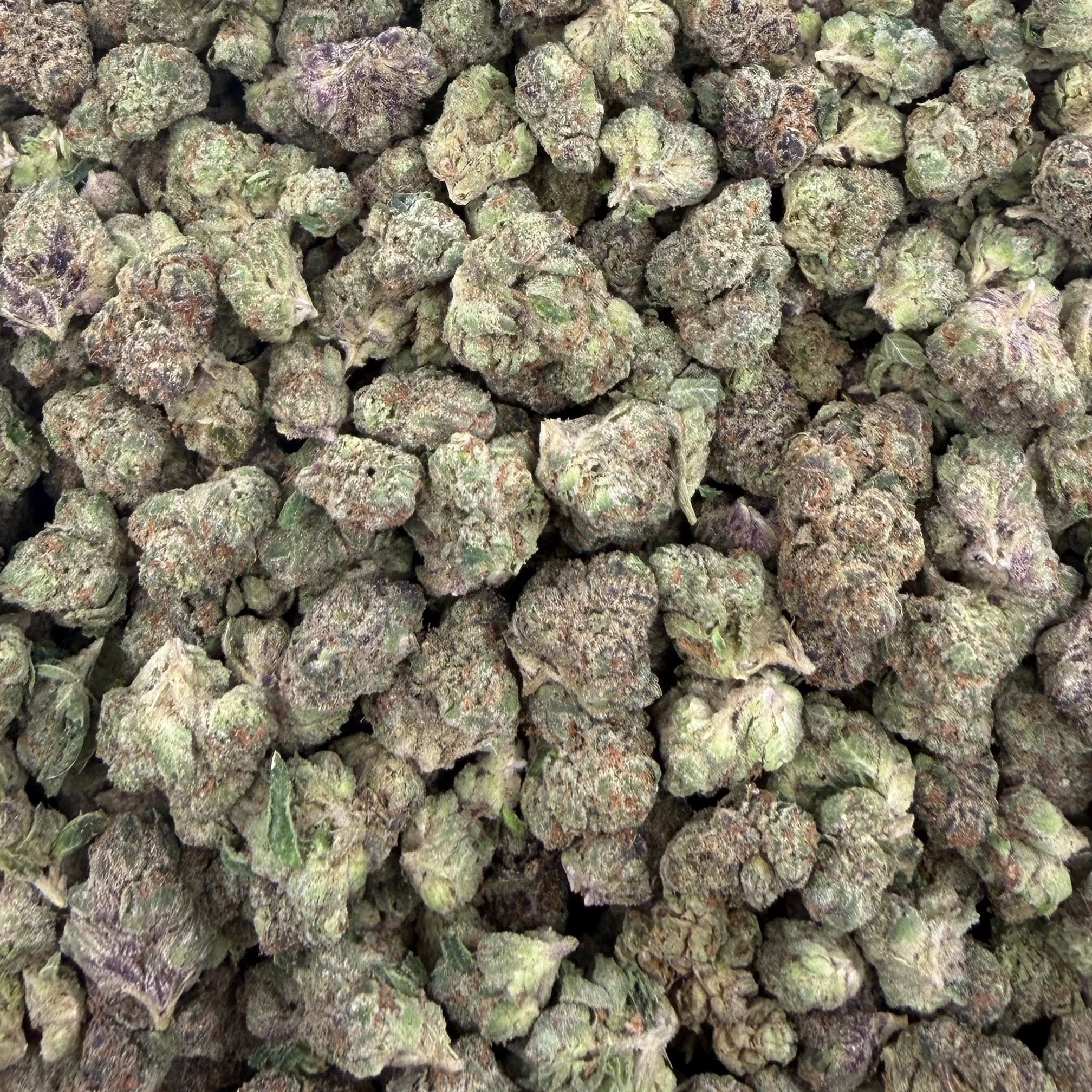 Ghost Train Haze bulk THCA flower — Plain Jane 1 lb