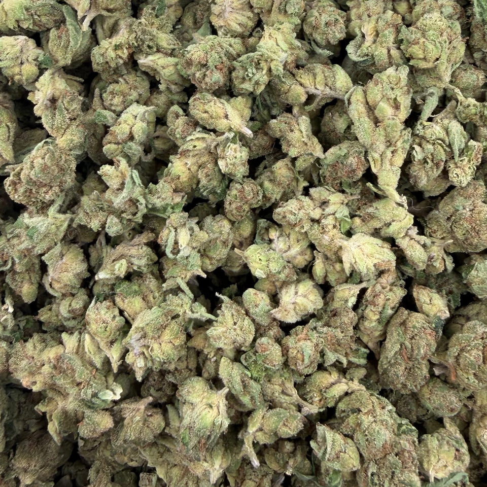 Girl Scout Cookies (Indoor Smalls) – Bulk THCA Flower 1 lb