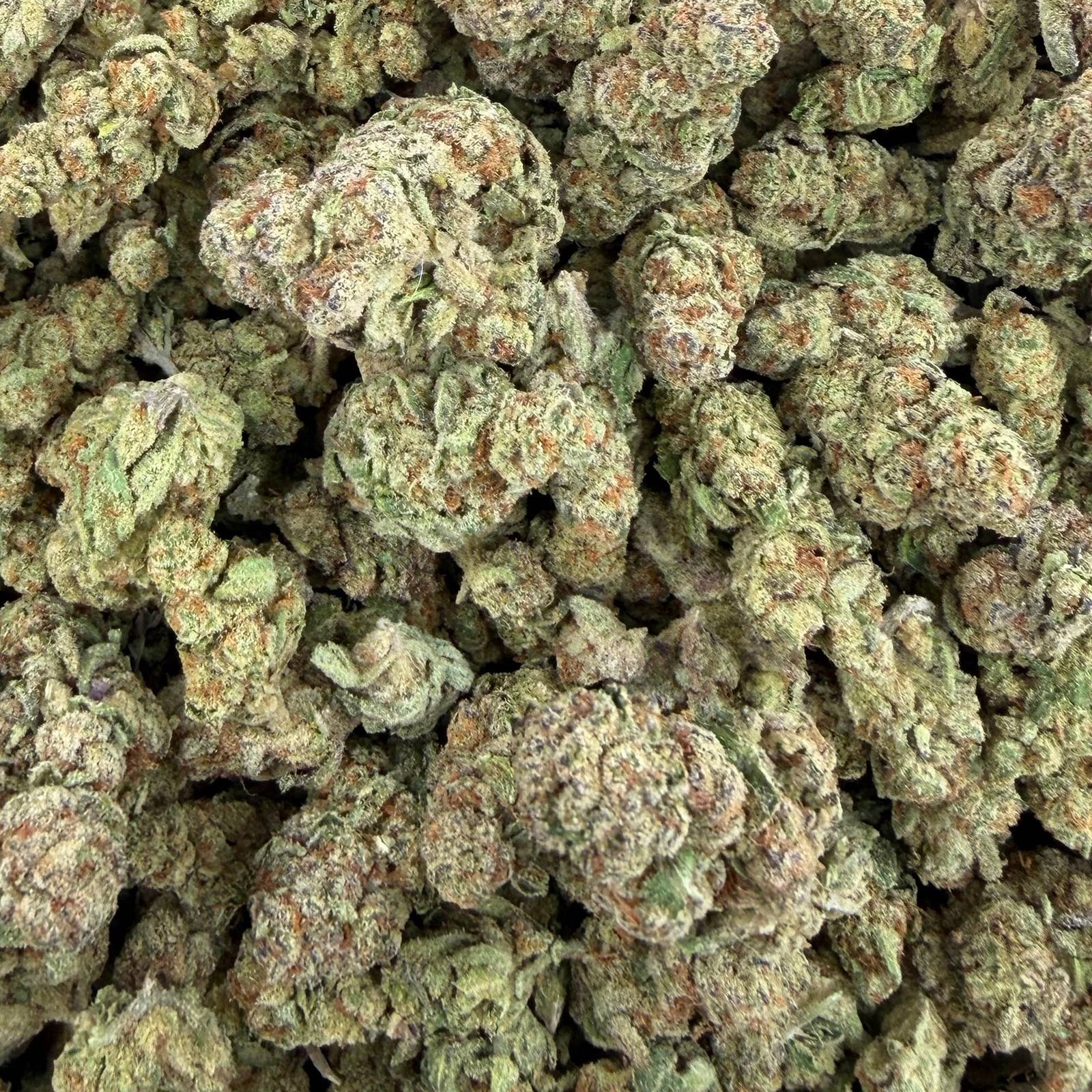 Glazed Apple bulk THCA flower — Plain Jane 1 lb
