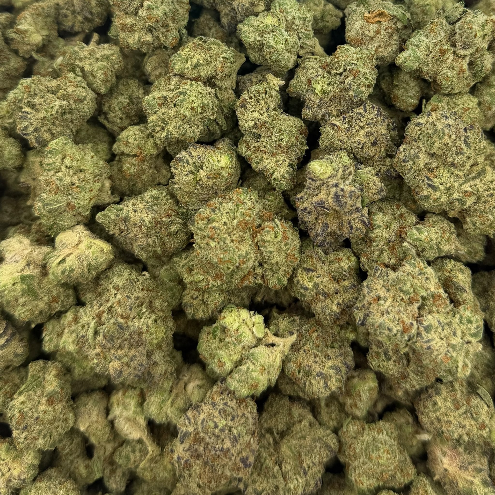 Glazed Apple bulk THCA flower — Plain Jane 1 lb