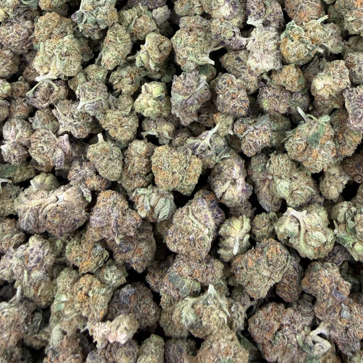 Glazed Apple bulk THCA flower — Plain Jane 1 lb