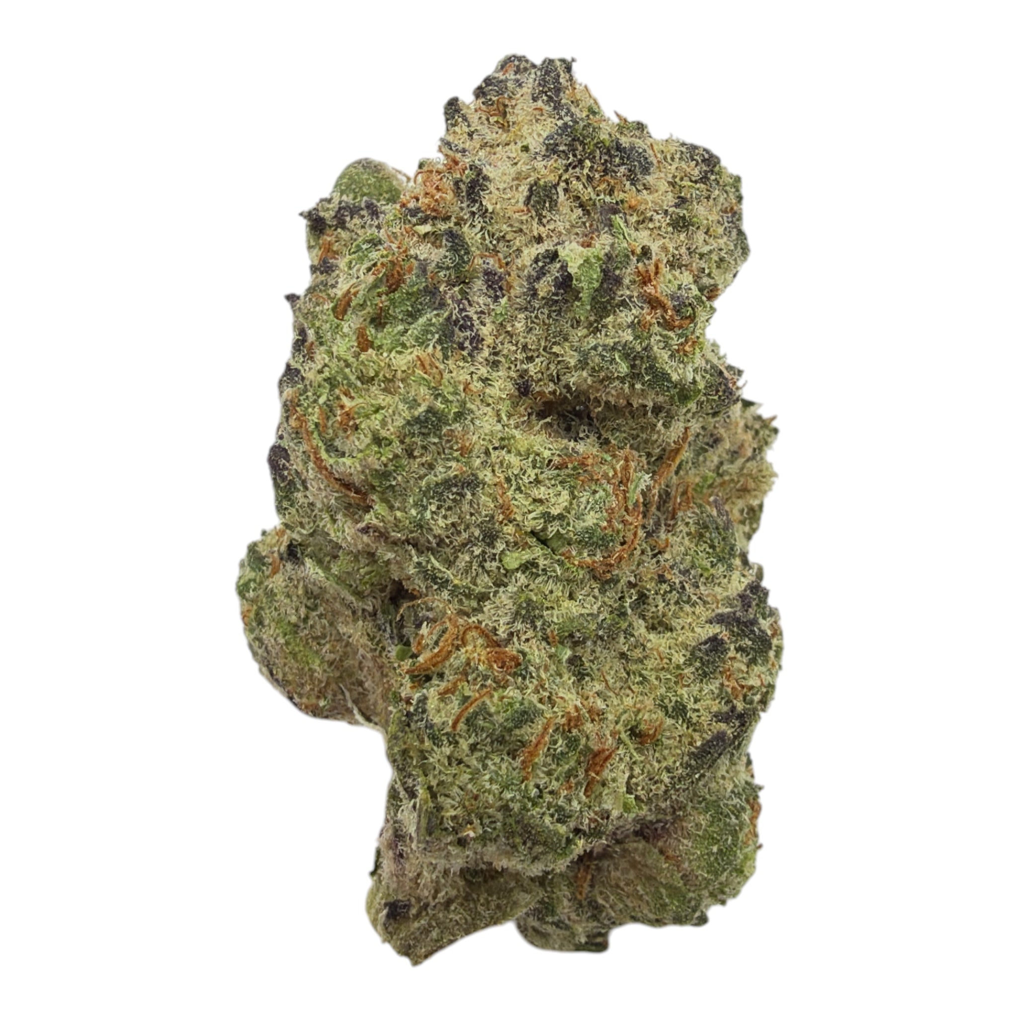 Glazed Apple full-size THCA flower — authentic product photograph