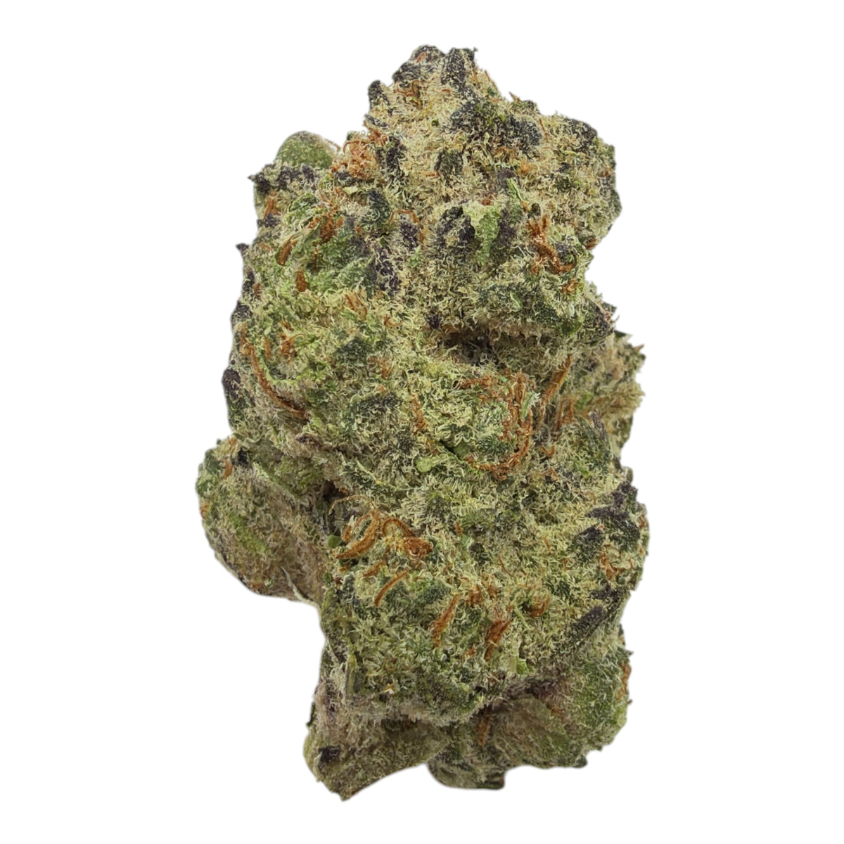 Glazed Apple full-size THCA flower — authentic product photograph