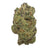 Glazed Apple full-size THCA flower — authentic product photograph
