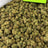 Glitter Bomb bulk THCA flower — Plain Jane 1 lb