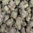 Glitter Bomb bulk THCA flower — Plain Jane 1 lb