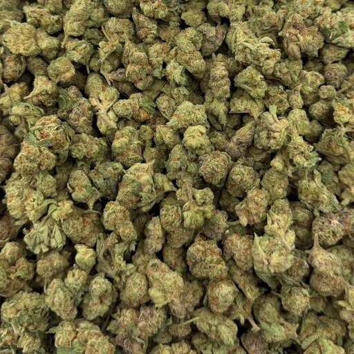 Glitter Bomb bulk THCA flower — Plain Jane 1 lb
