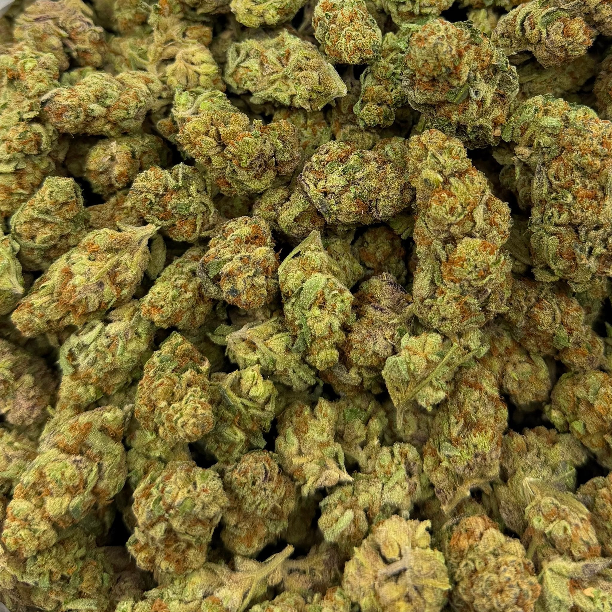 Glitter Bomb bulk THCA flower — Plain Jane 1 lb