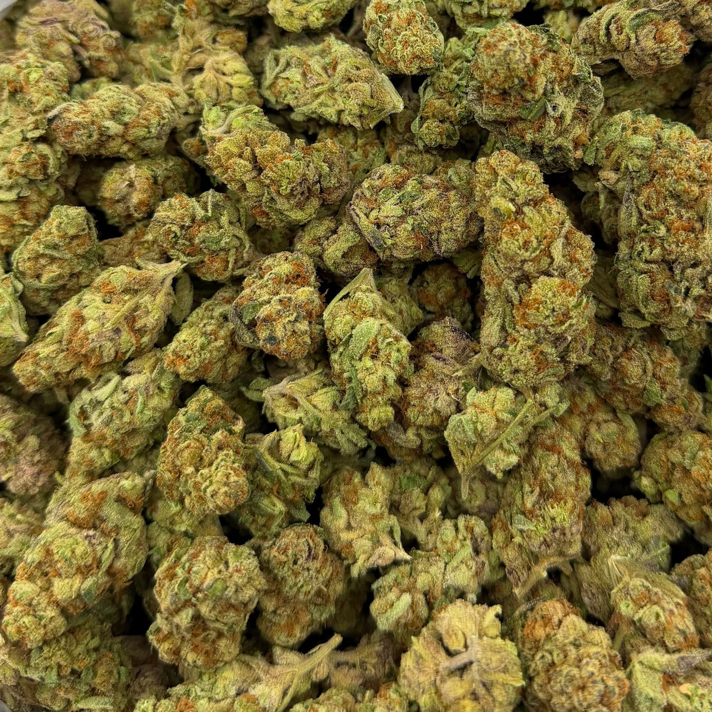 Glitter Bomb bulk THCA flower — Plain Jane 1 lb