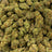 Glitter Bomb bulk THCA flower — Plain Jane 1 lb