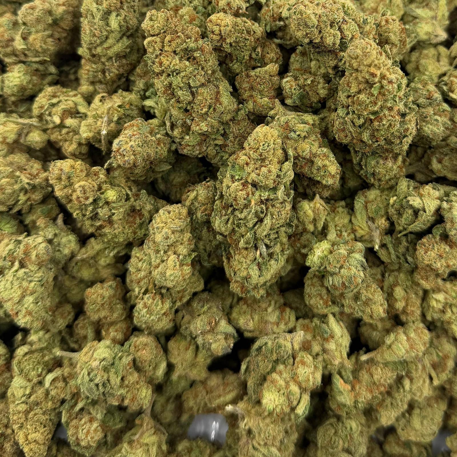 Glitter Bomb bulk THCA flower — Plain Jane 1 lb
