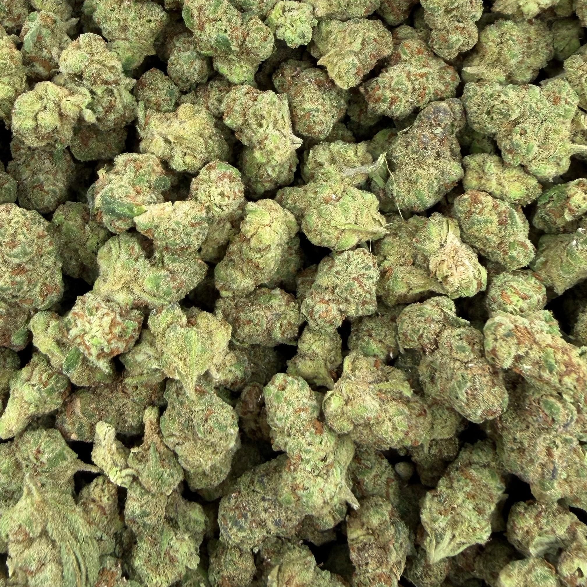 Glitter Bomb bulk THCA flower — Plain Jane 1 lb