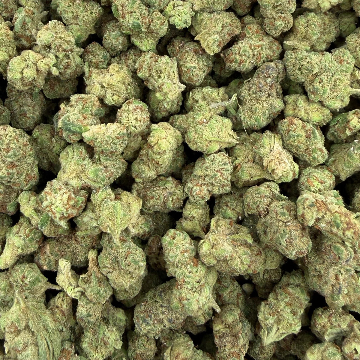Glitter Bomb bulk THCA flower — Plain Jane 1 lb