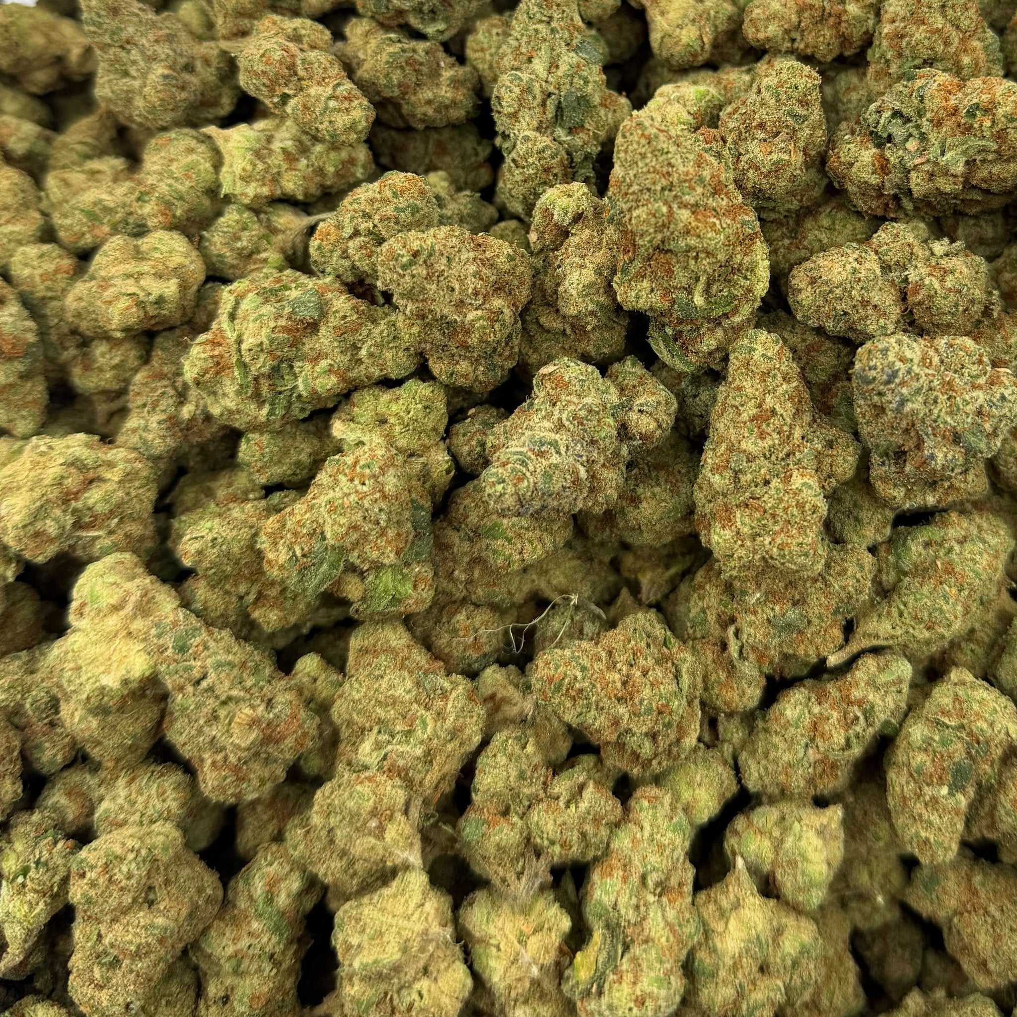 Glitter Bomb bulk THCA flower — Plain Jane 1 lb