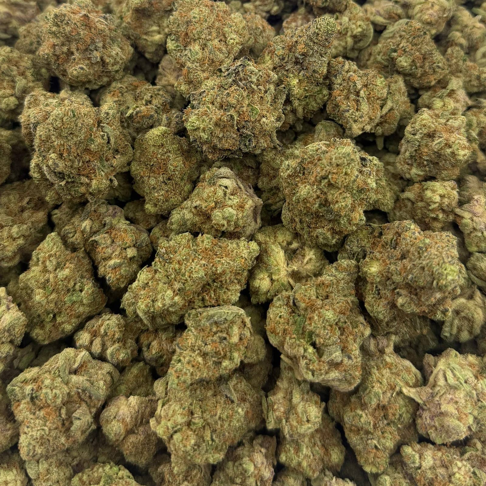 Glitterati bulk THCA flower — Plain Jane 1 lb