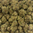 Glitterati bulk THCA flower — Plain Jane 1 lb
