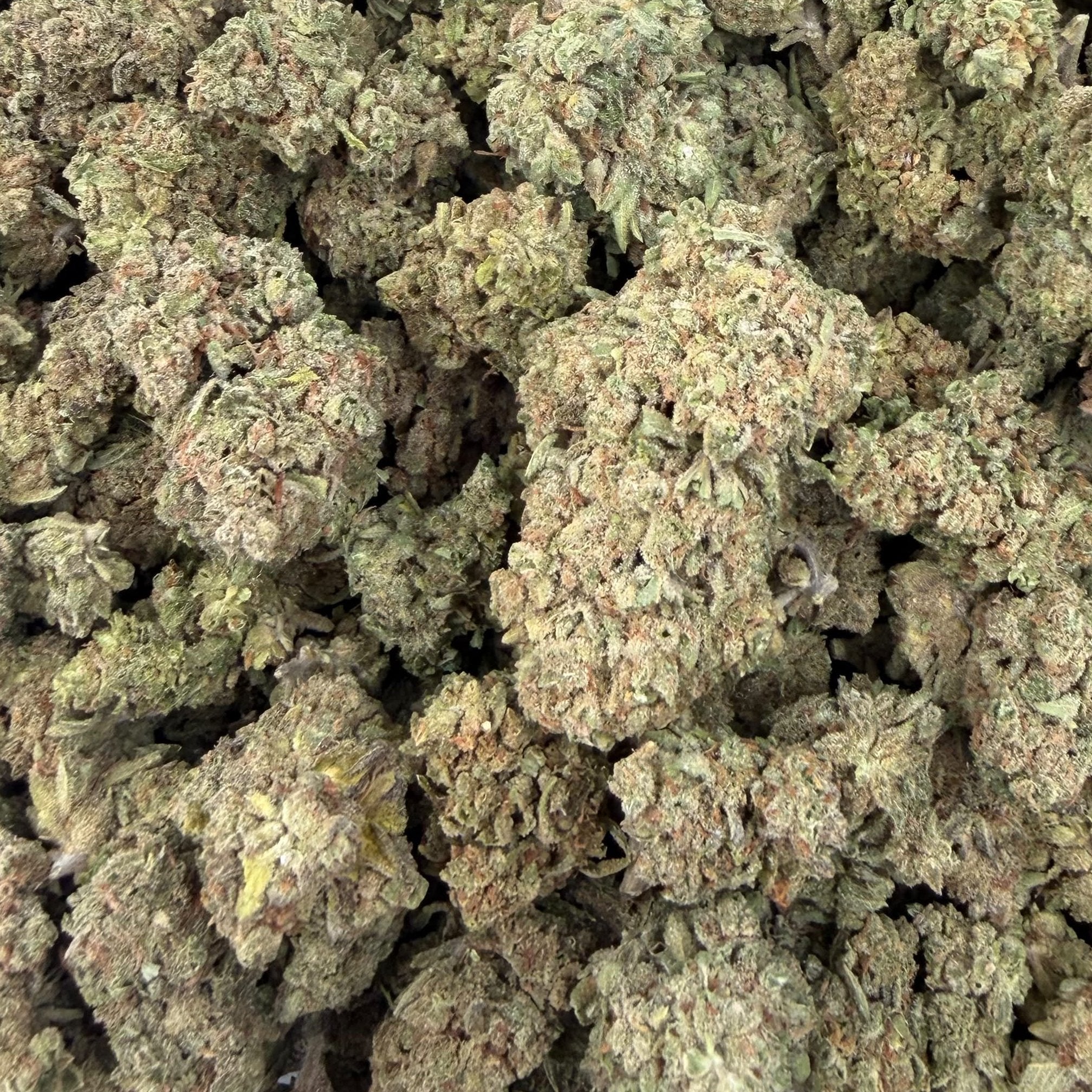 Glue Drop bulk THCA flower — Plain Jane 1 lb