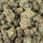 Glue Drop bulk THCA flower — Plain Jane 1 lb