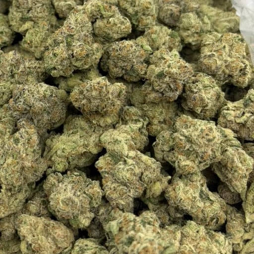 Glue Drop bulk THCA flower — Plain Jane 1 lb