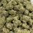 Glue Drop bulk THCA flower — Plain Jane 1 lb