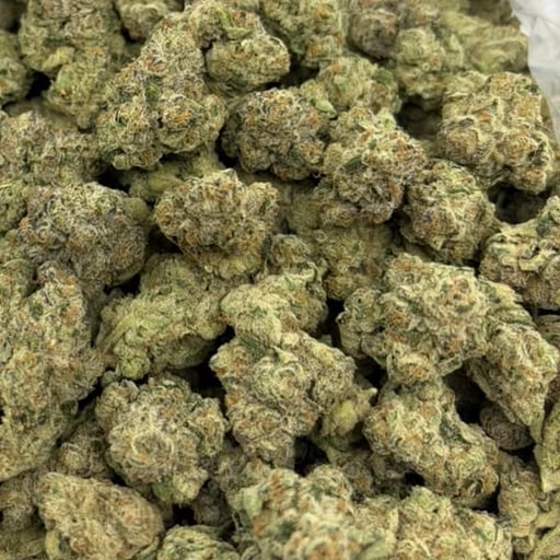 Glue Drop (Indoor) – Bulk THCA Flower 1 lb
