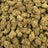 Glue Train bulk THCA flower — Plain Jane 1 lb