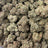 GMO bulk THCA flower — Plain Jane 1 lb
