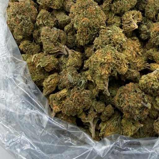 Goji Berries bulk THCA flower — Plain Jane 1 lb