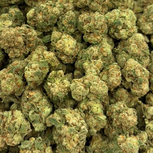 Goji Berries bulk THCA flower — Plain Jane 1 lb
