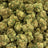 Goji Berries bulk THCA flower — Plain Jane 1 lb