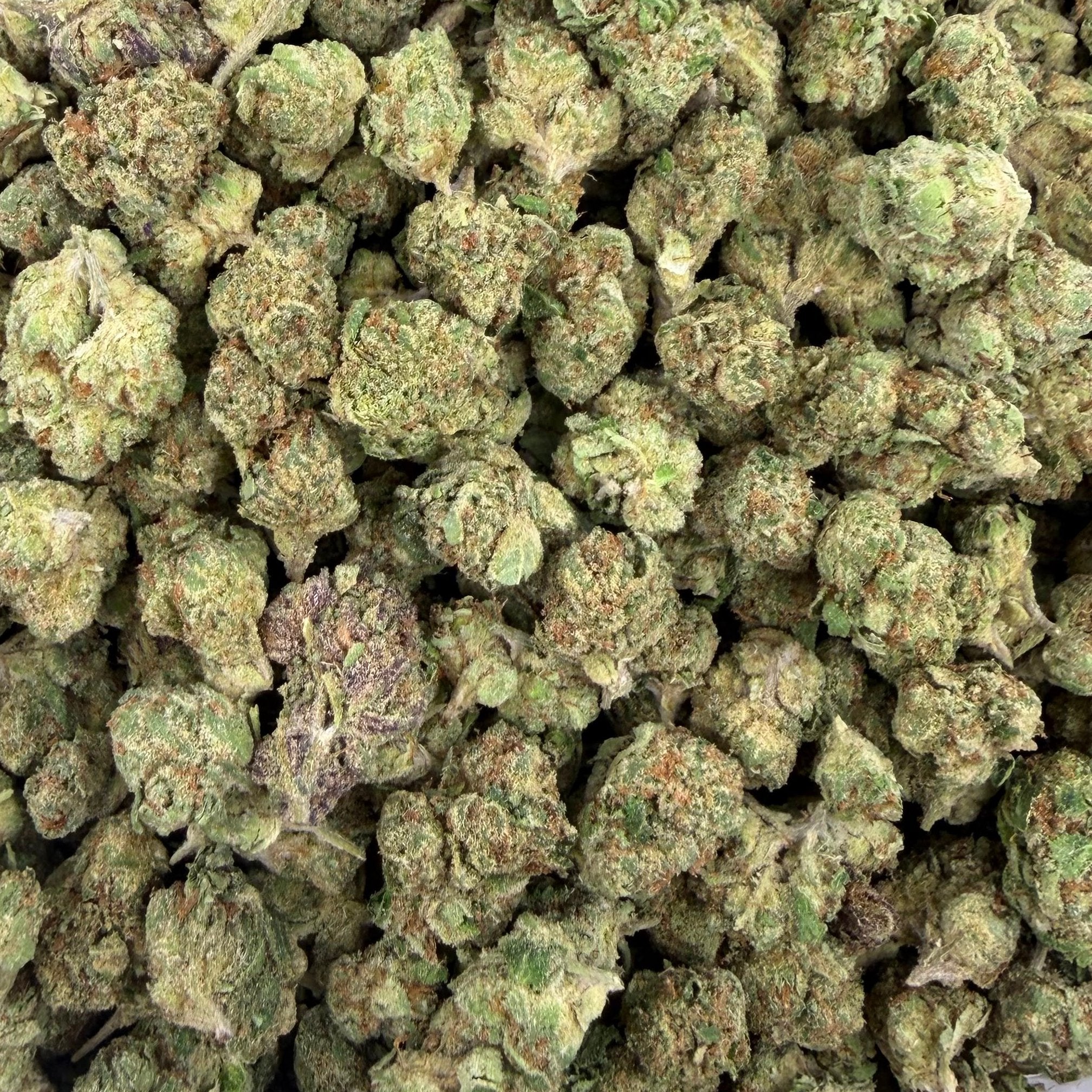 Golden Goat bulk THCA flower — Plain Jane 1 lb