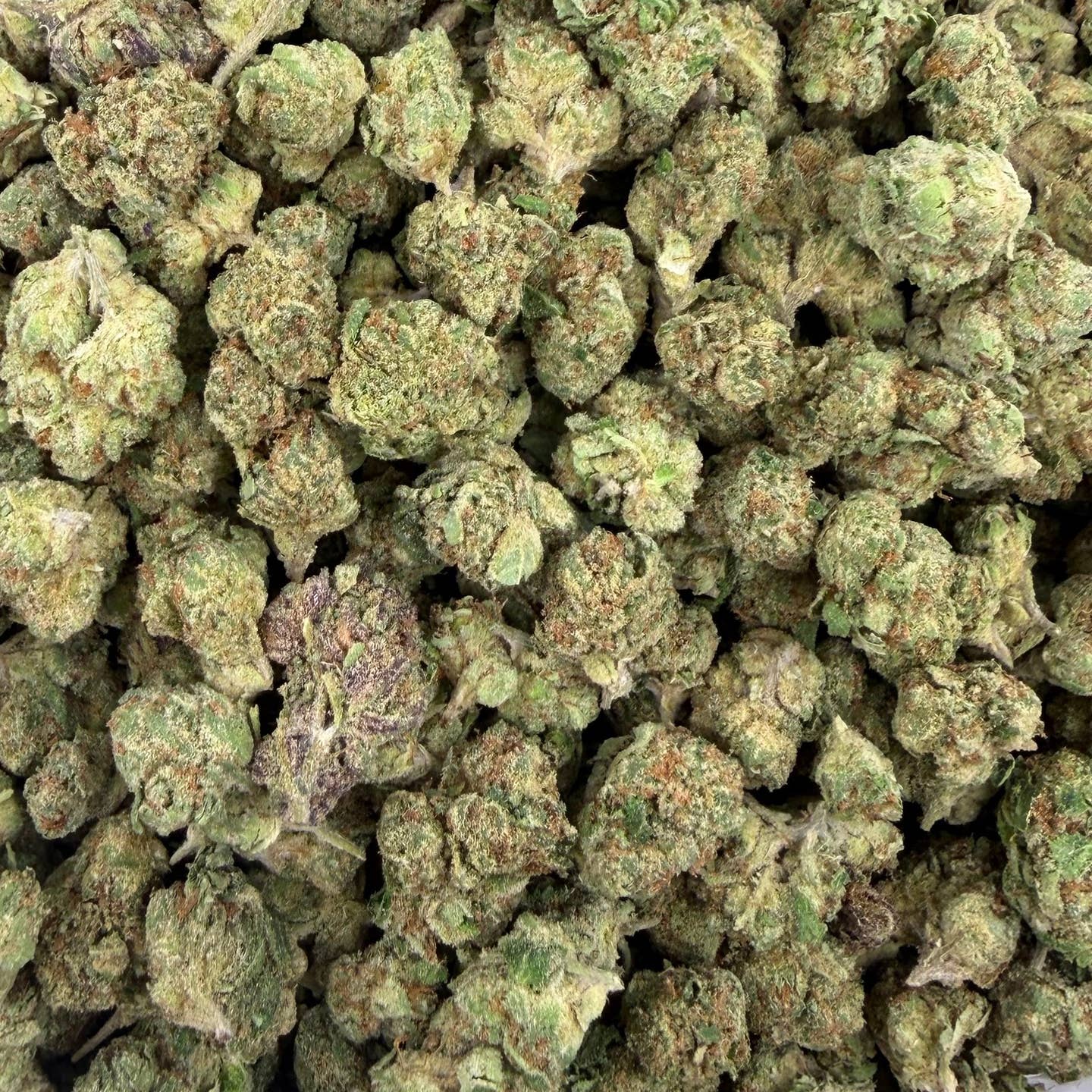 Golden Goat bulk THCA flower — Plain Jane 1 lb