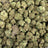Golden Goat bulk THCA flower — Plain Jane 1 lb