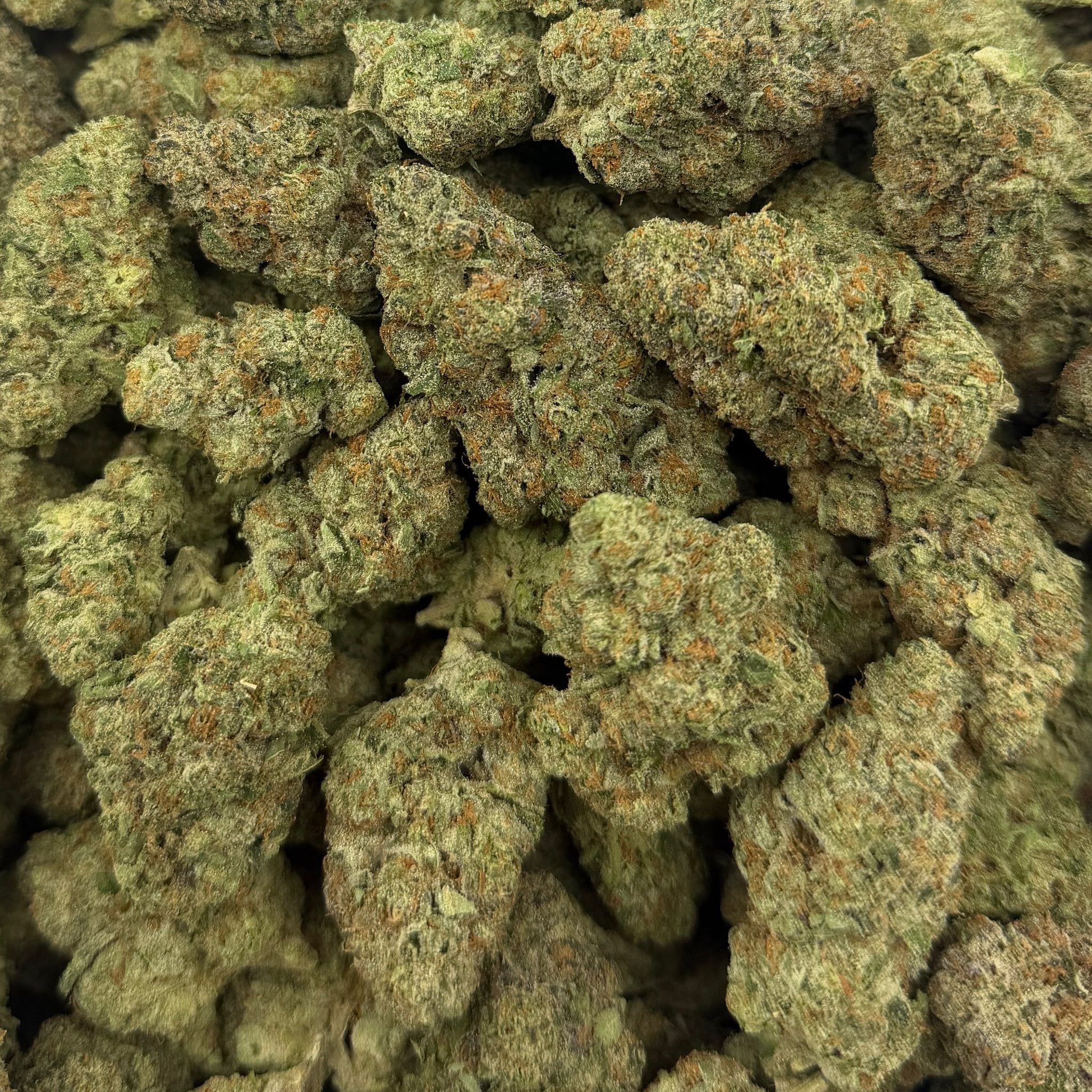 Golden Goat bulk THCA flower — Plain Jane 1 lb