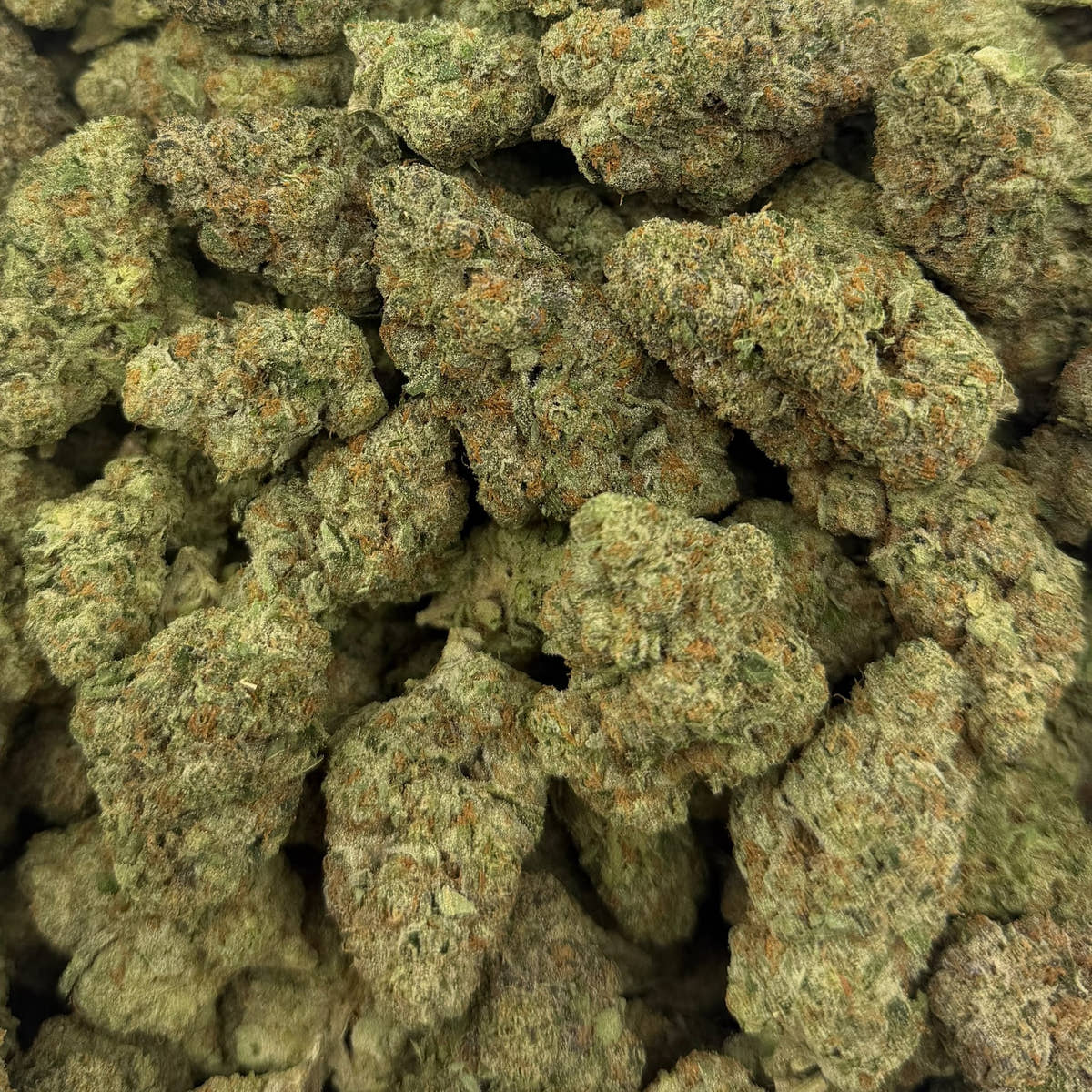 Golden Goat bulk THCA flower — Plain Jane 1 lb