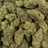 Golden Goat bulk THCA flower — Plain Jane 1 lb