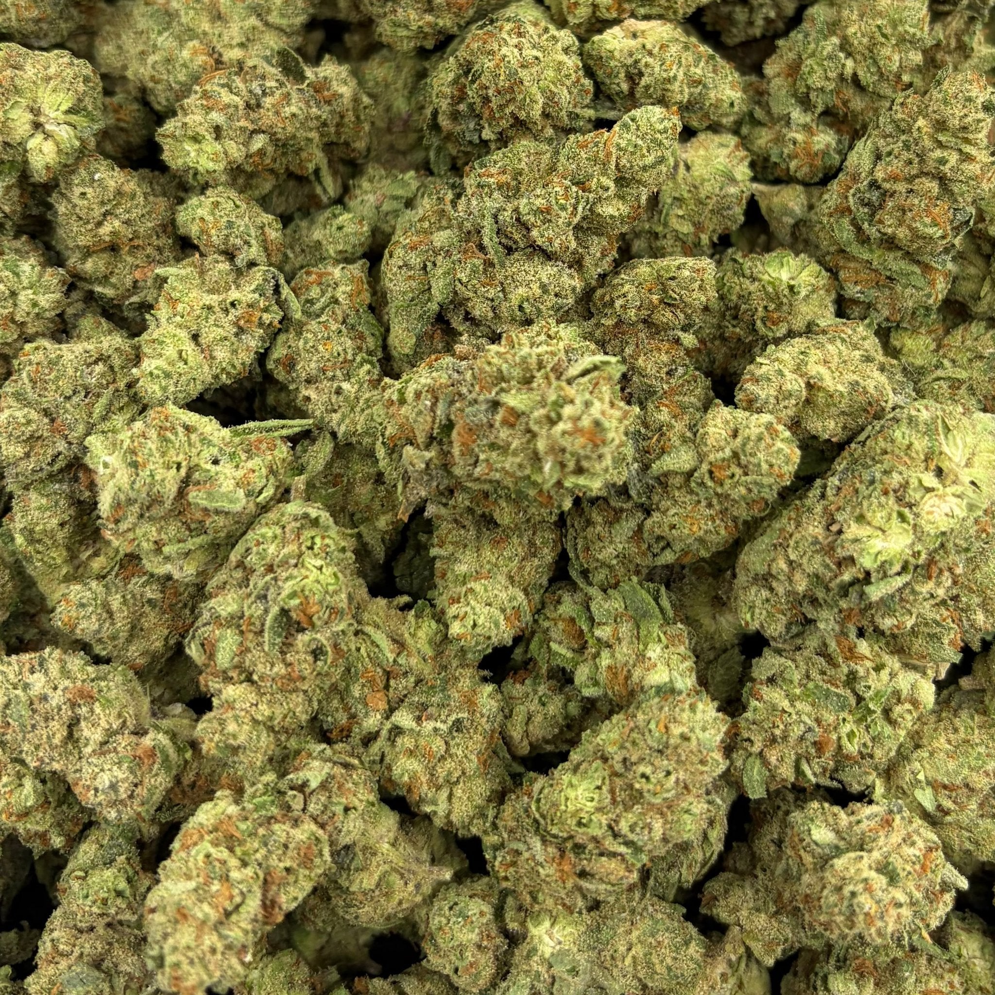 Golden Papaya bulk THCA flower — Plain Jane 1 lb