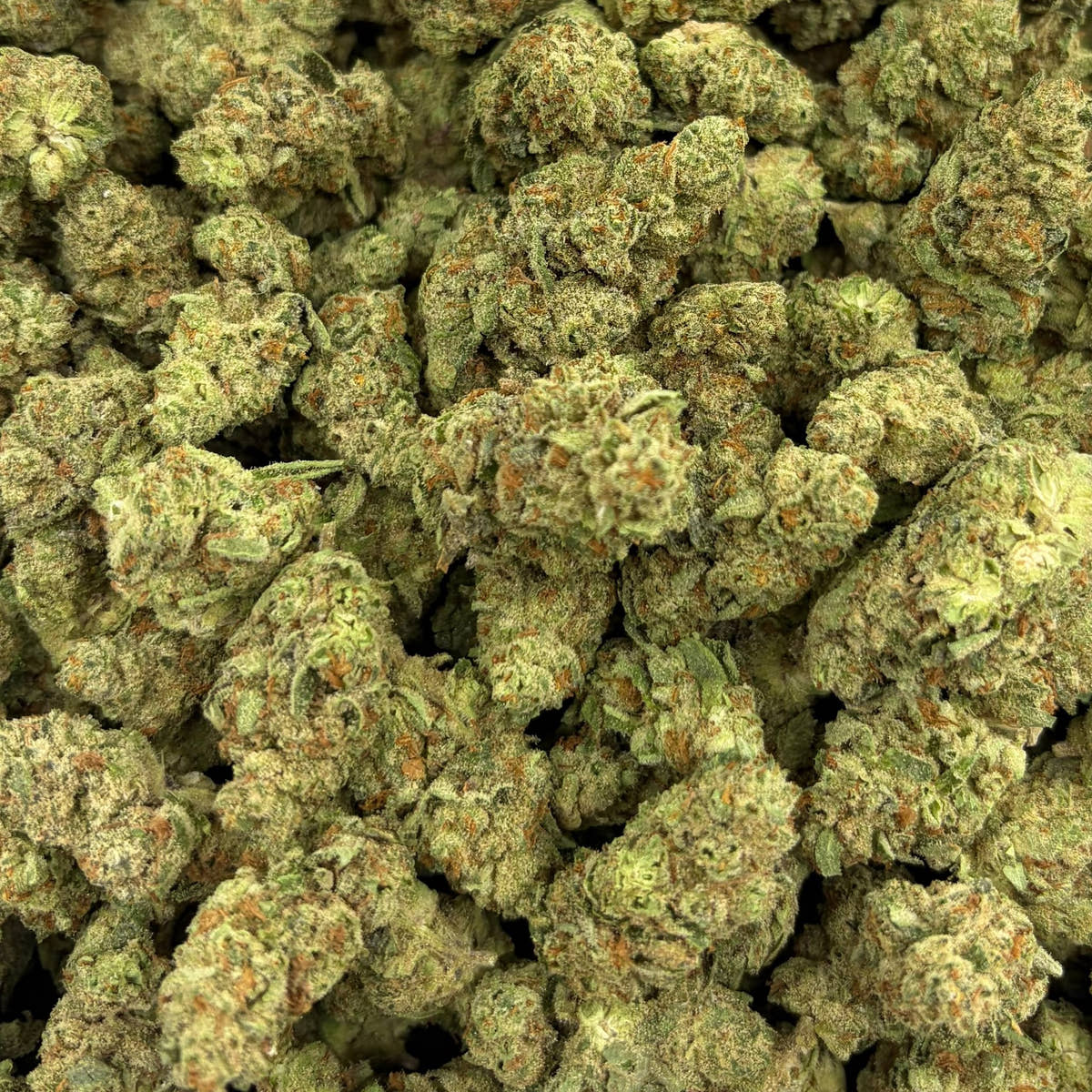 Golden Papaya bulk THCA flower — Plain Jane 1 lb