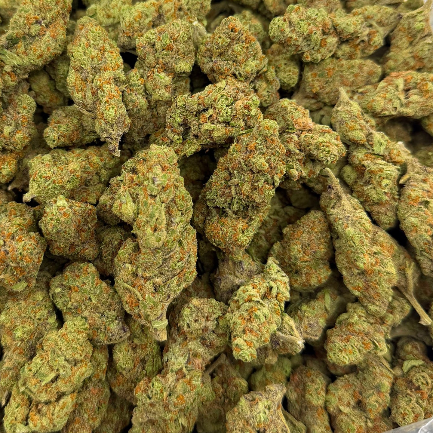 Golden Ticket bulk THCA flower — Plain Jane 1 lb