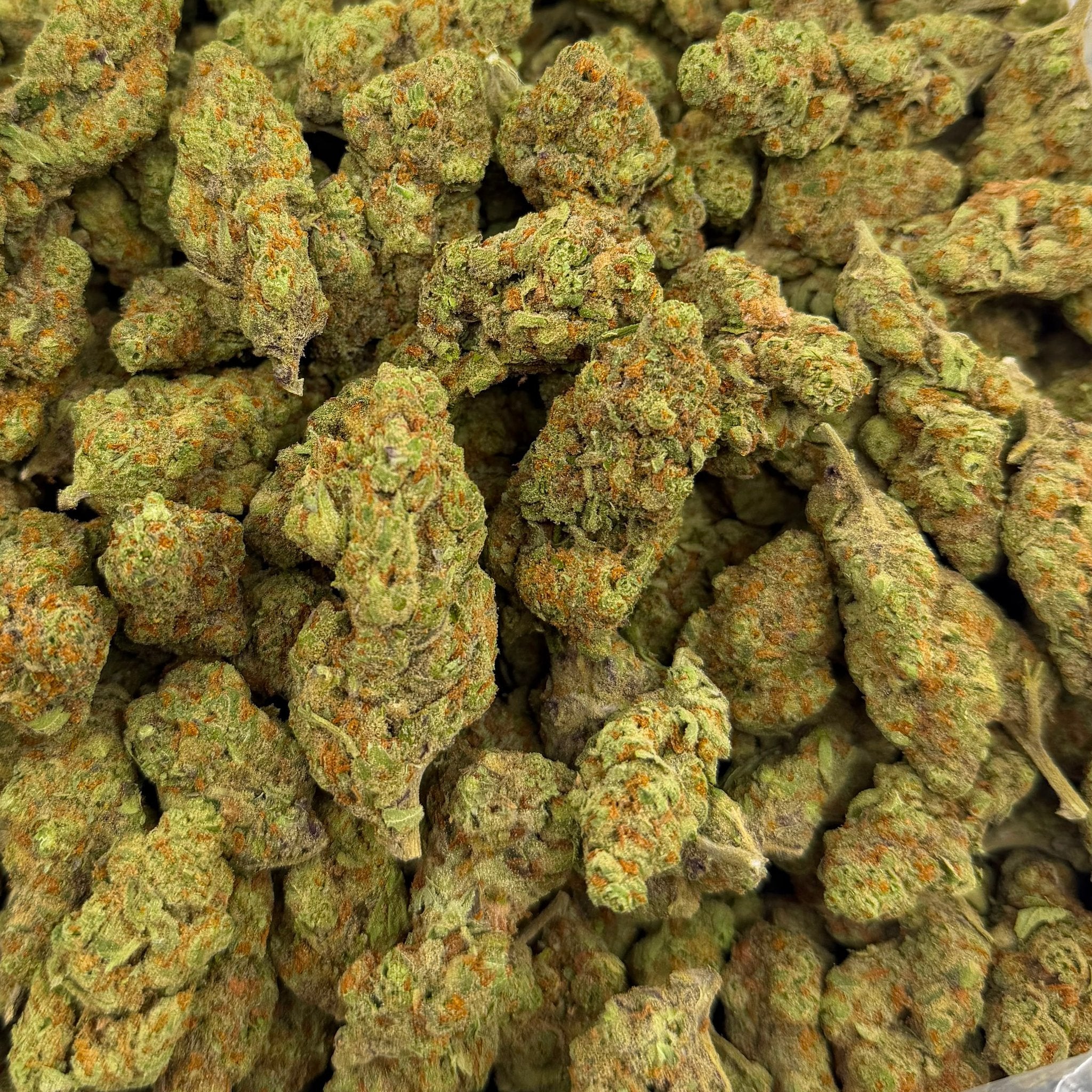 Golden Ticket bulk THCA flower — Plain Jane 1 lb